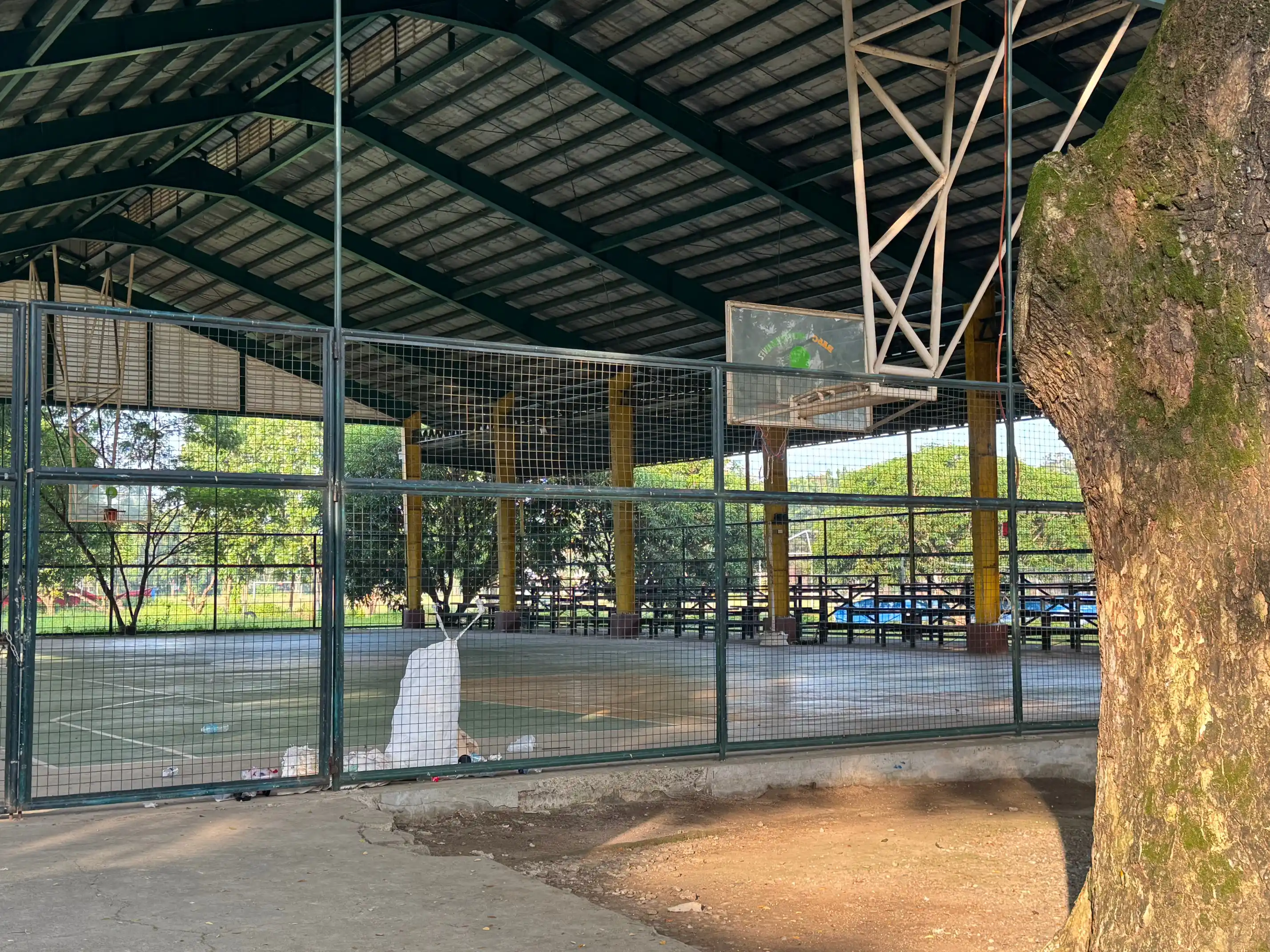 BASC - Open Gymnasium