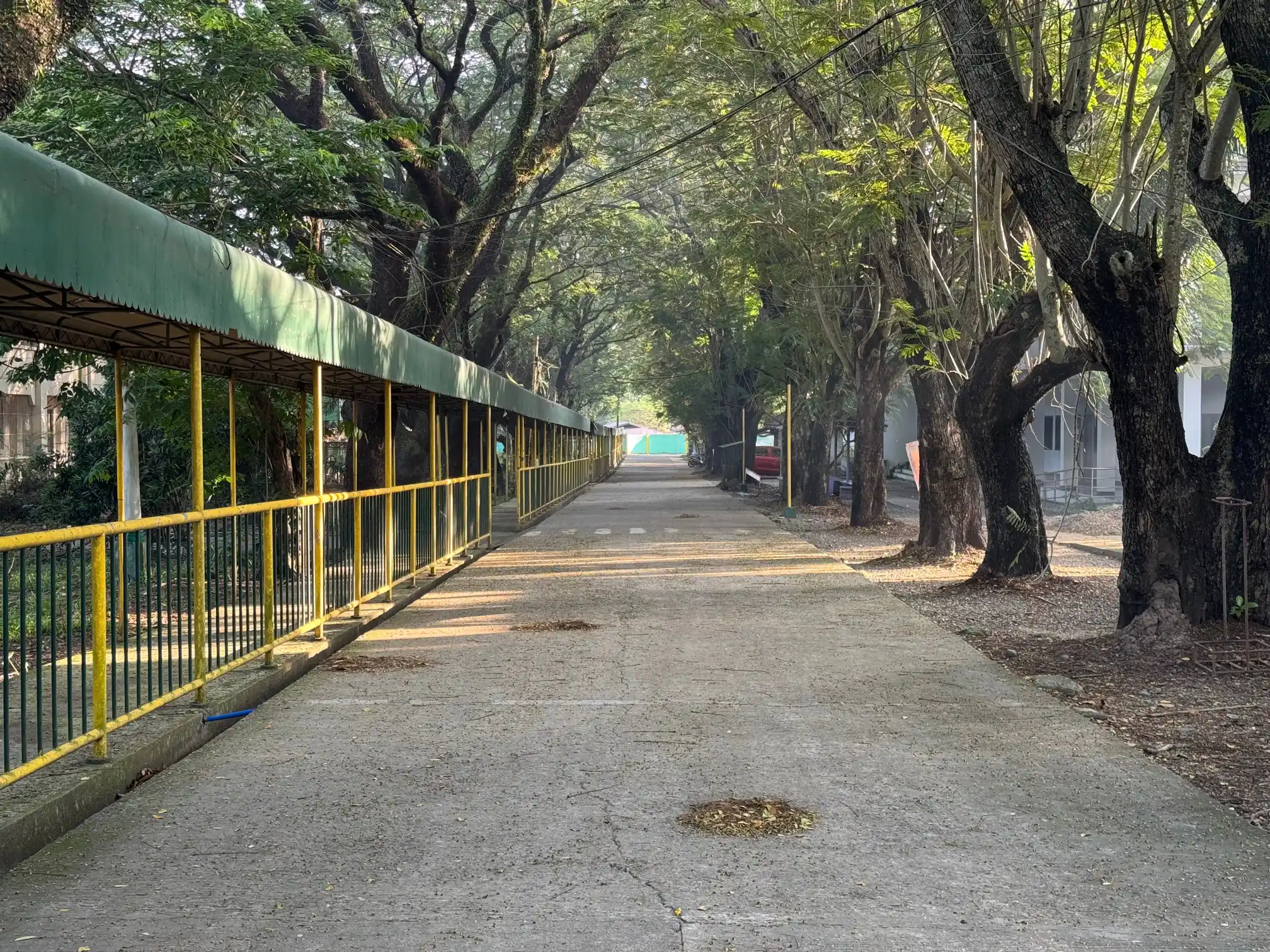 Campus Walkway 3