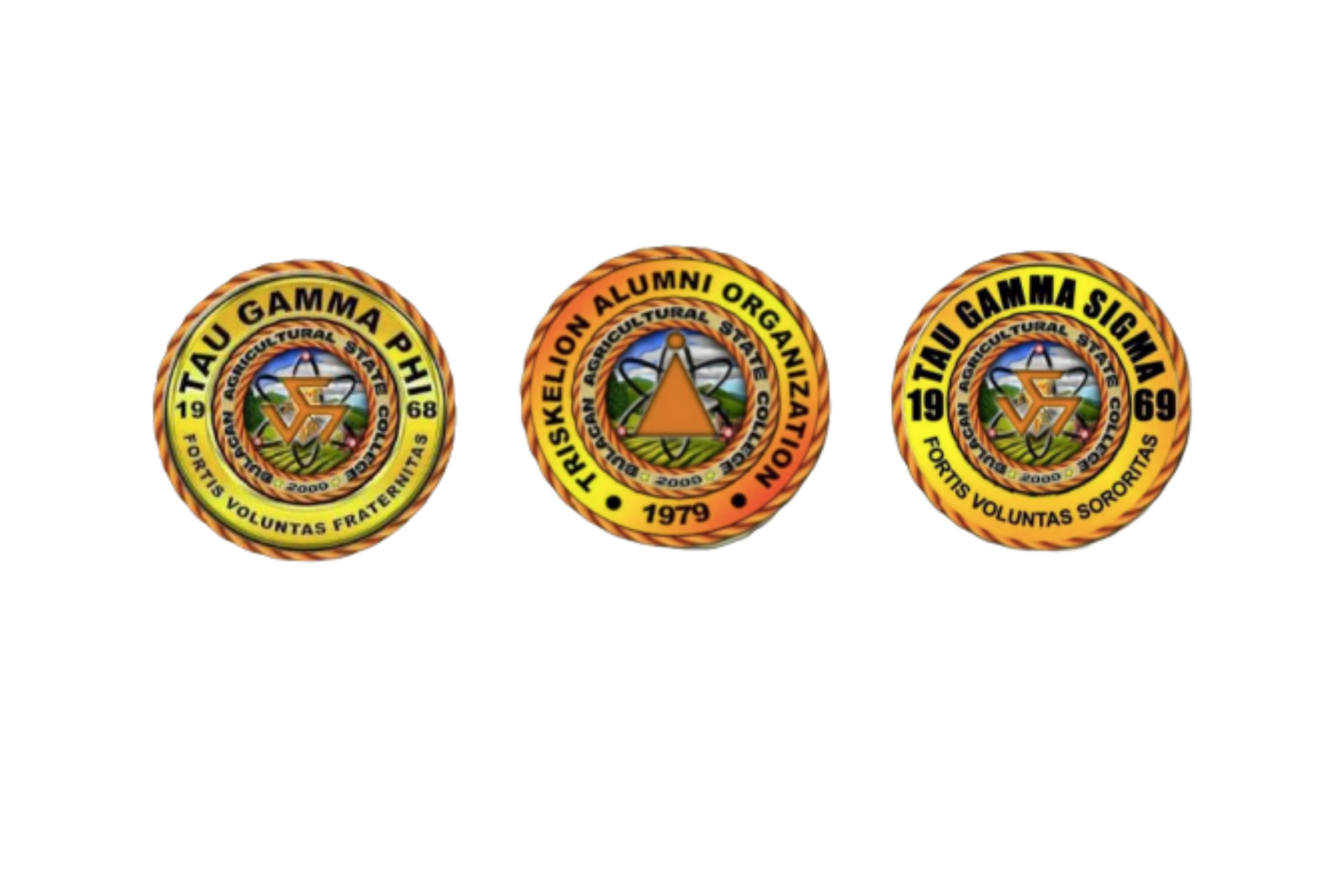 Tau Gamma Phi/Sigma Logo